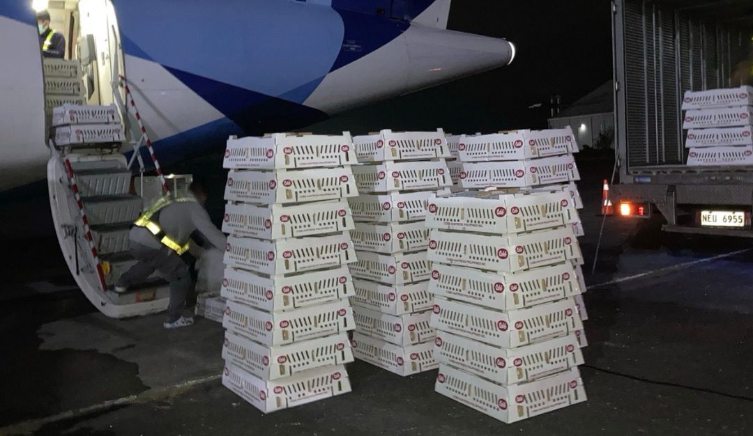 Streamlining your deliveries with Airspeed: Your trusted logistics partner in the Philippines