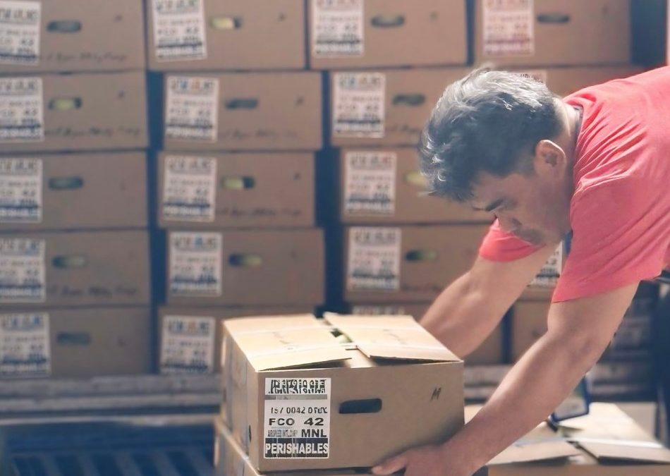 Boosting Global Trade as Airspeed Delivers World-Class Philippine Mangoes to Rome!
